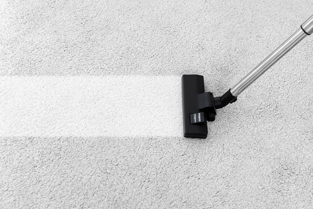 Professional Carpet Cleaning Services